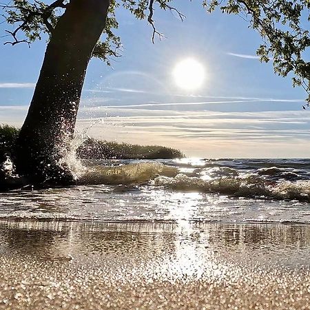 Ferienwohnung Sea Vogelsang-Warsin Luaran gambar