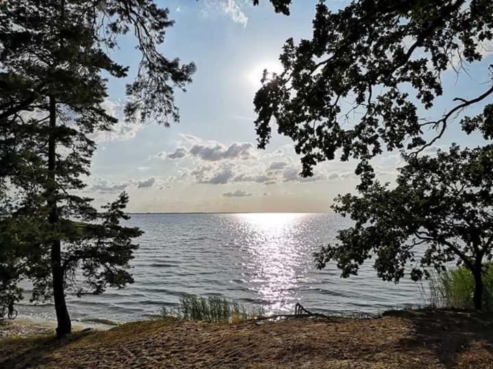 Ferienwohnung Sea Vogelsang-Warsin Luaran gambar